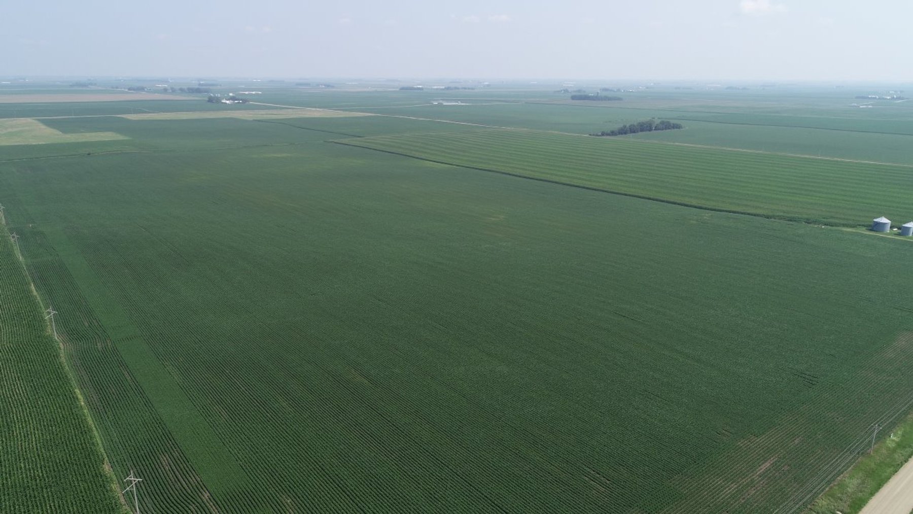 Image for Calhoun County Farmland Auction