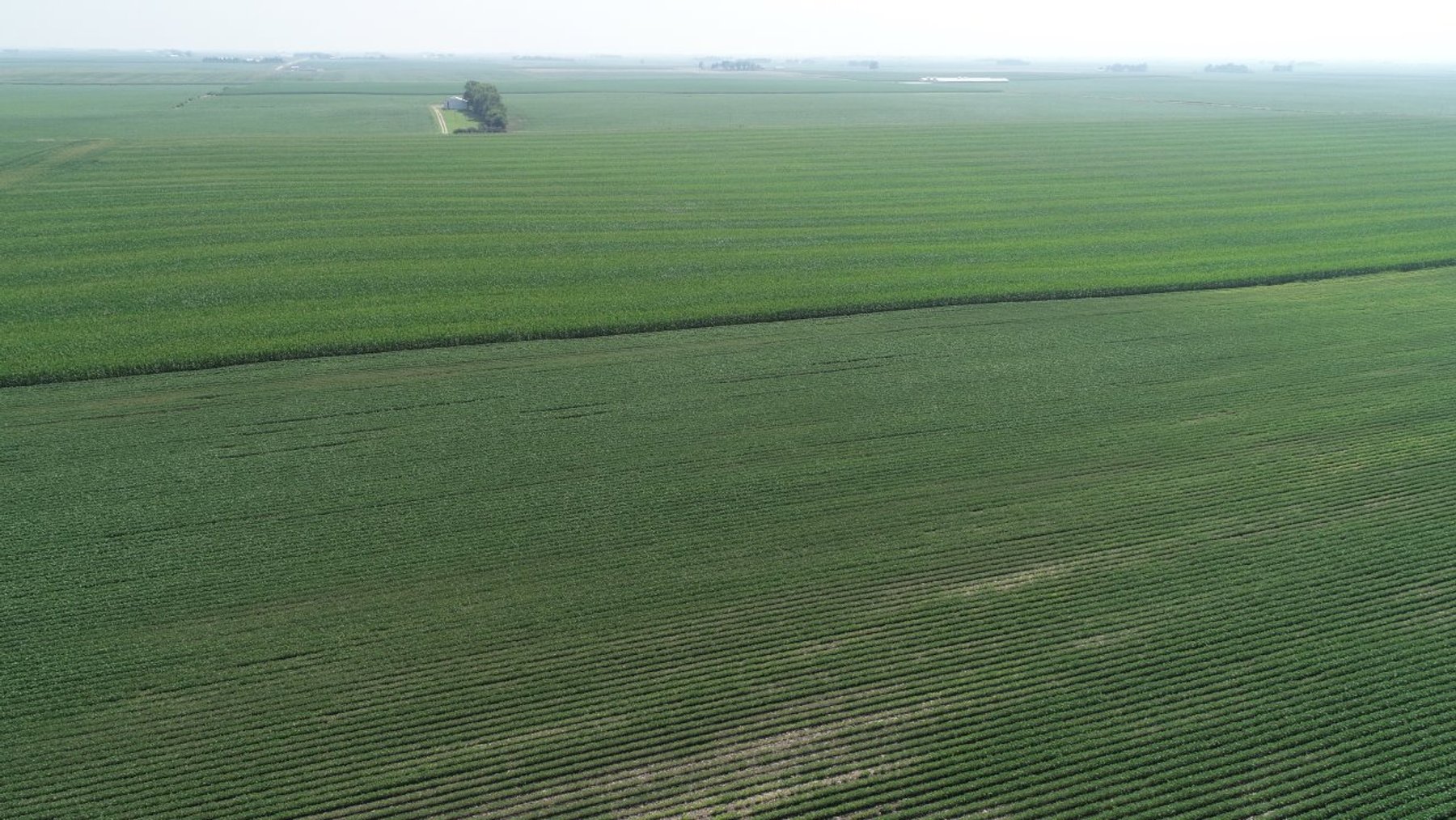 Image for Calhoun County Farmland Auction