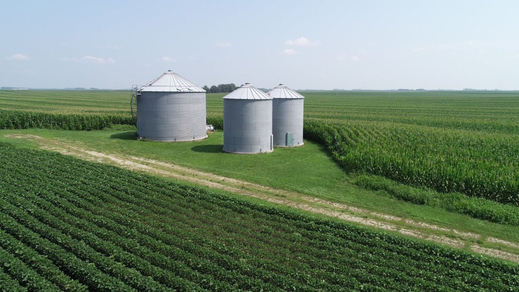 Image for Calhoun County Farmland Auction