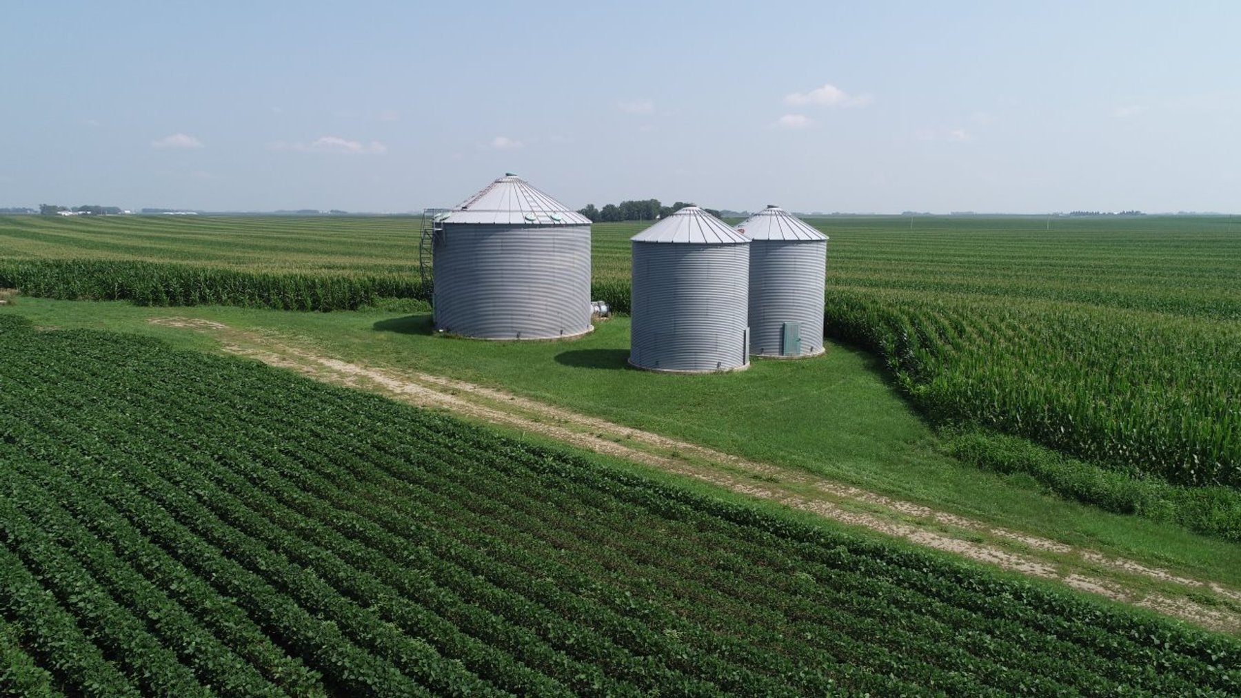 Image for Calhoun County Farmland Auction