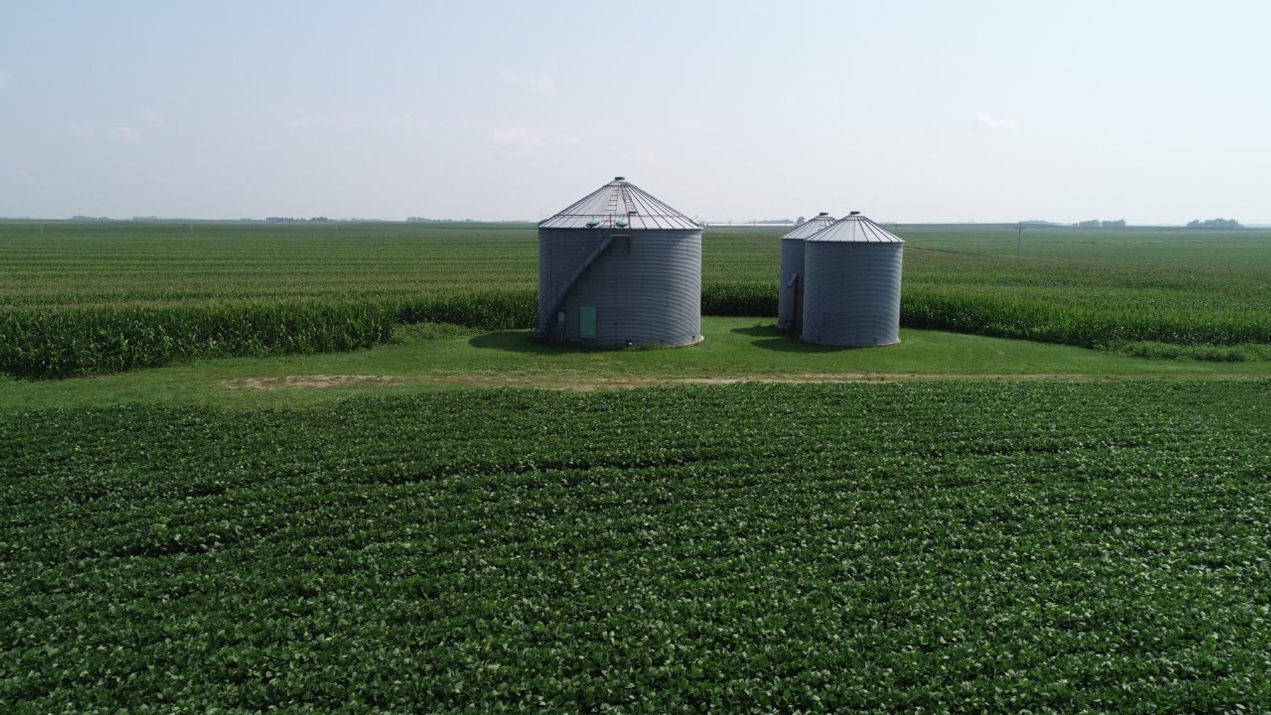 Image for Calhoun County Farmland Auction