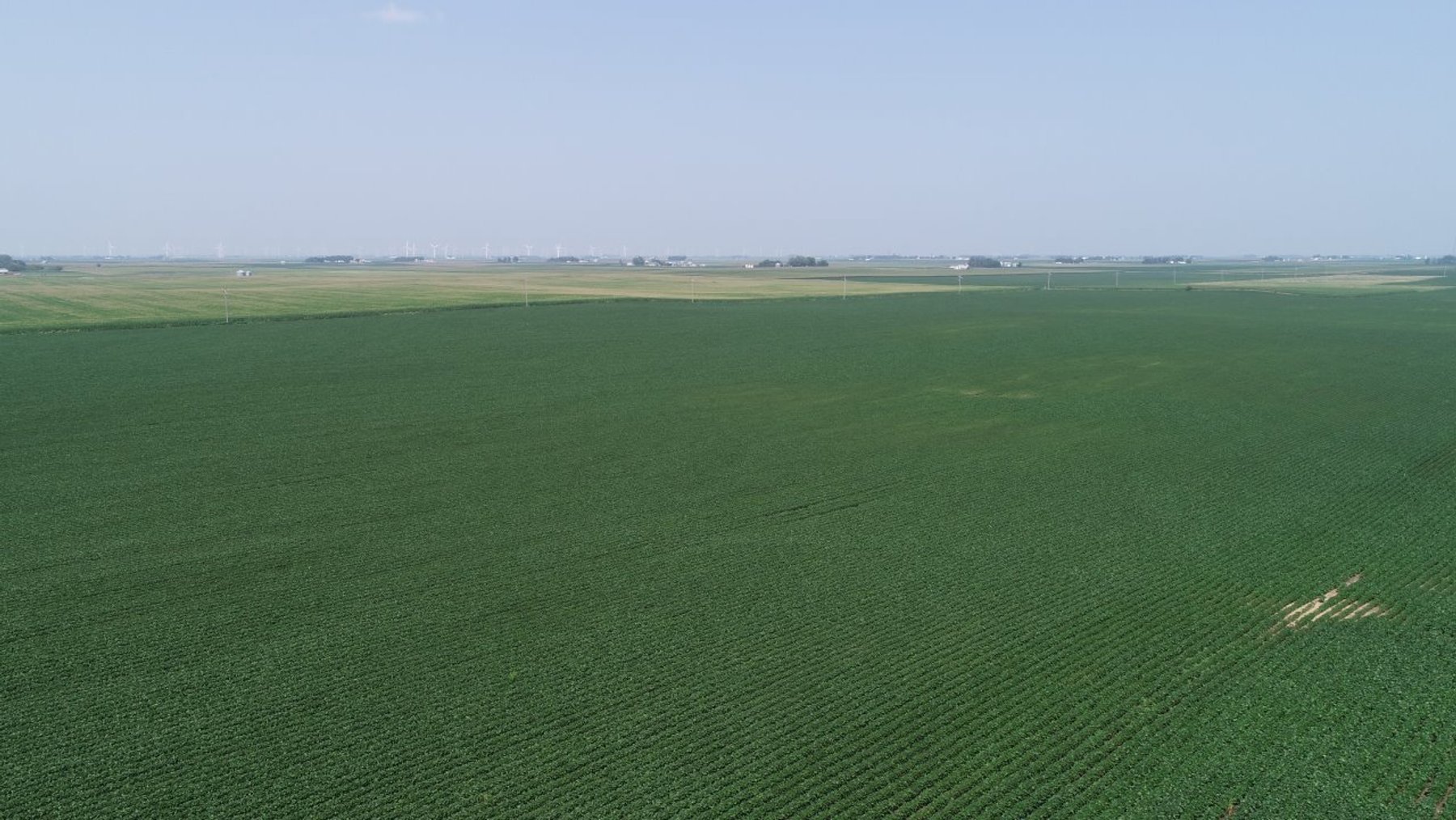Image for Calhoun County Farmland Auction