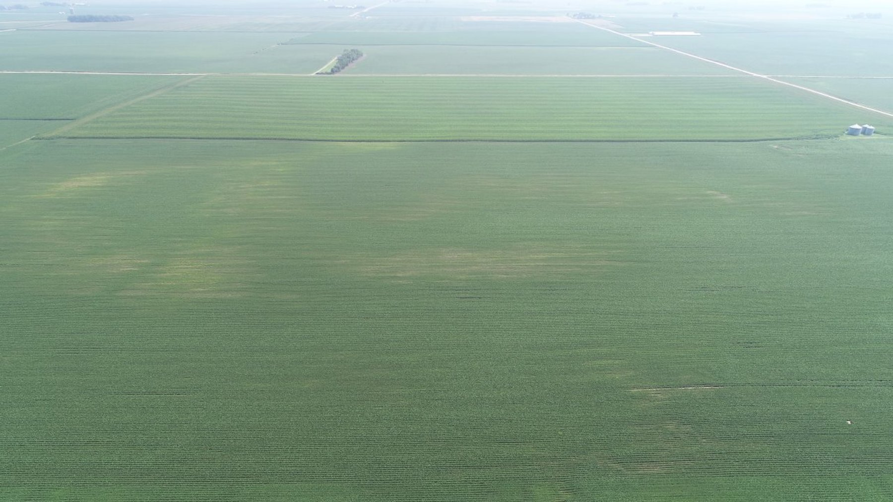 Image for Calhoun County Farmland Auction