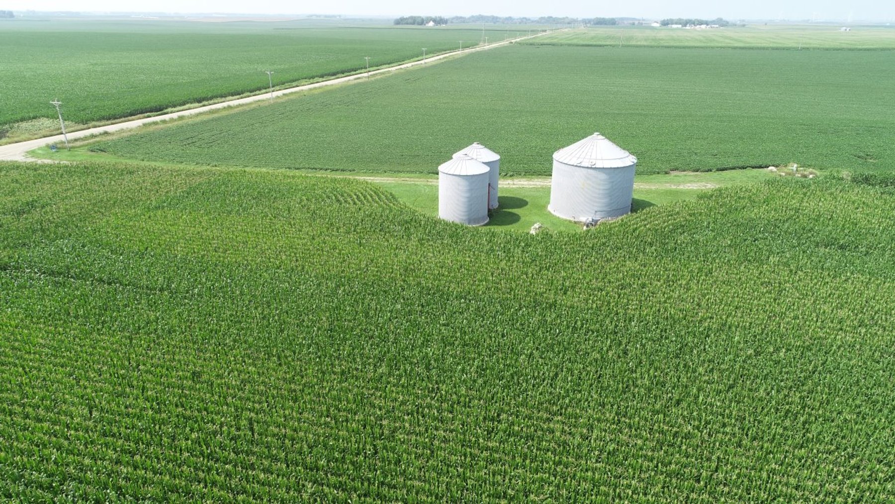 Image for Calhoun County Farmland Auction