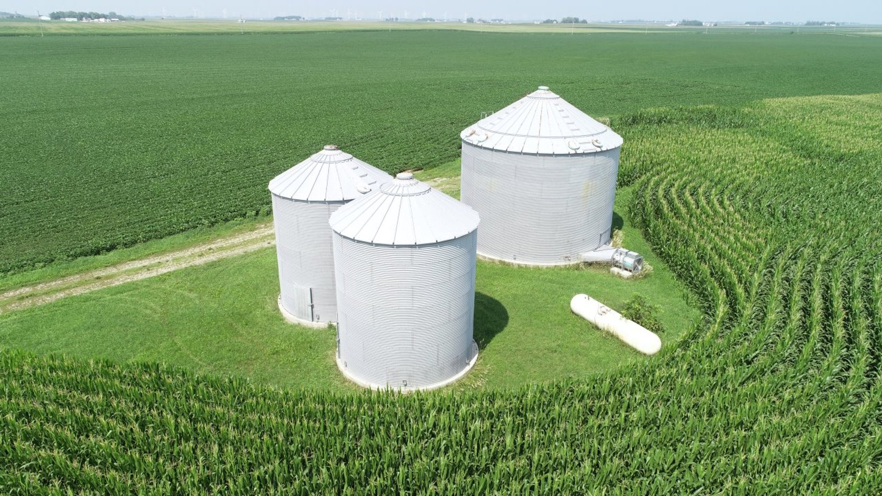 Image for Calhoun County Farmland Auction