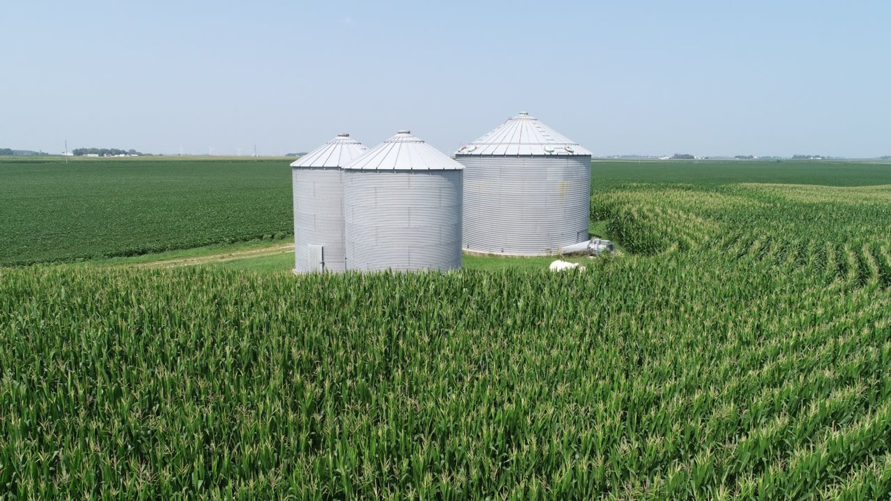 Image for Calhoun County Farmland Auction