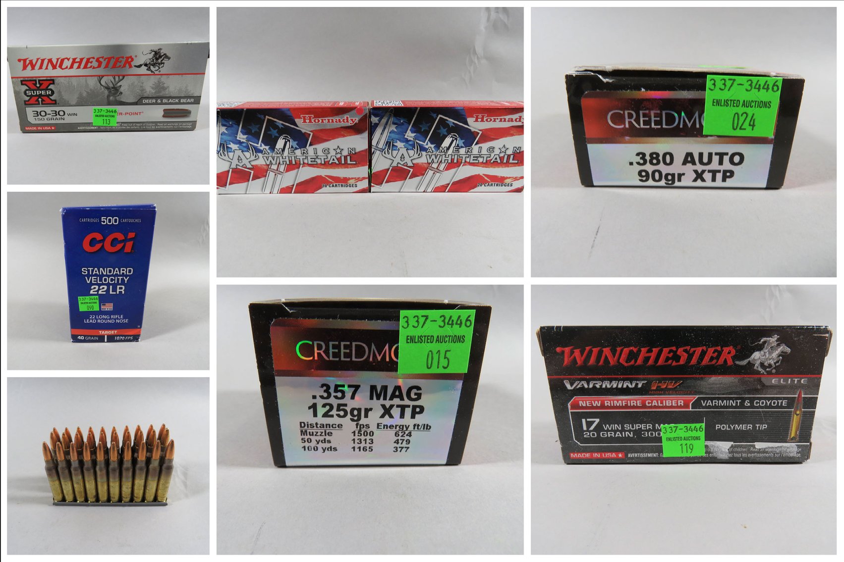 Image for Ammunition and Accessories