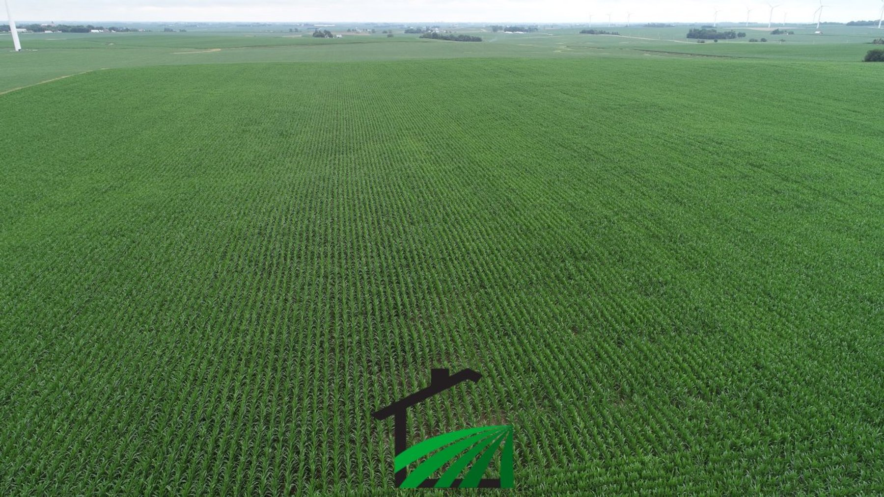 Image for Carroll County, Iowa Farmland Auction