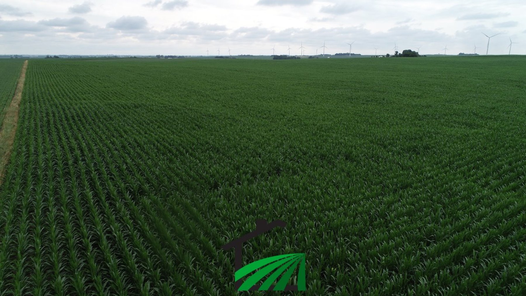 Image for Carroll County, Iowa Farmland Auction