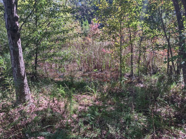 Image for Woodstock, GA: 1.13± Acre Commercial Tract at Parkway 575, Woodstock GA 30188 (Cherokee County)