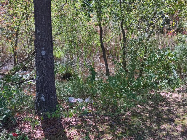 Image for Woodstock, GA: 1.13± Acre Commercial Tract at Parkway 575, Woodstock GA 30188 (Cherokee County)