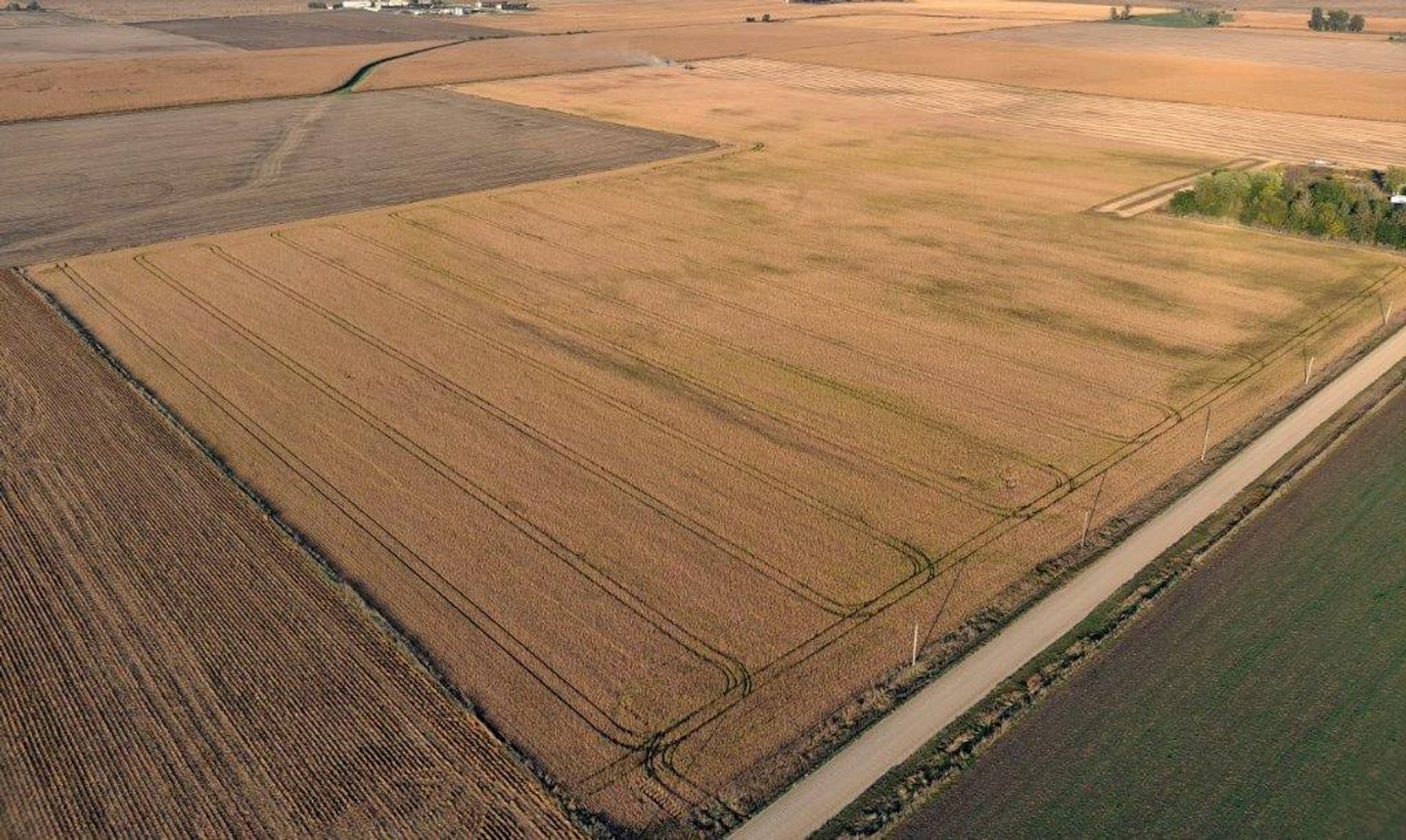 Image for Carroll County Farmland Auction!