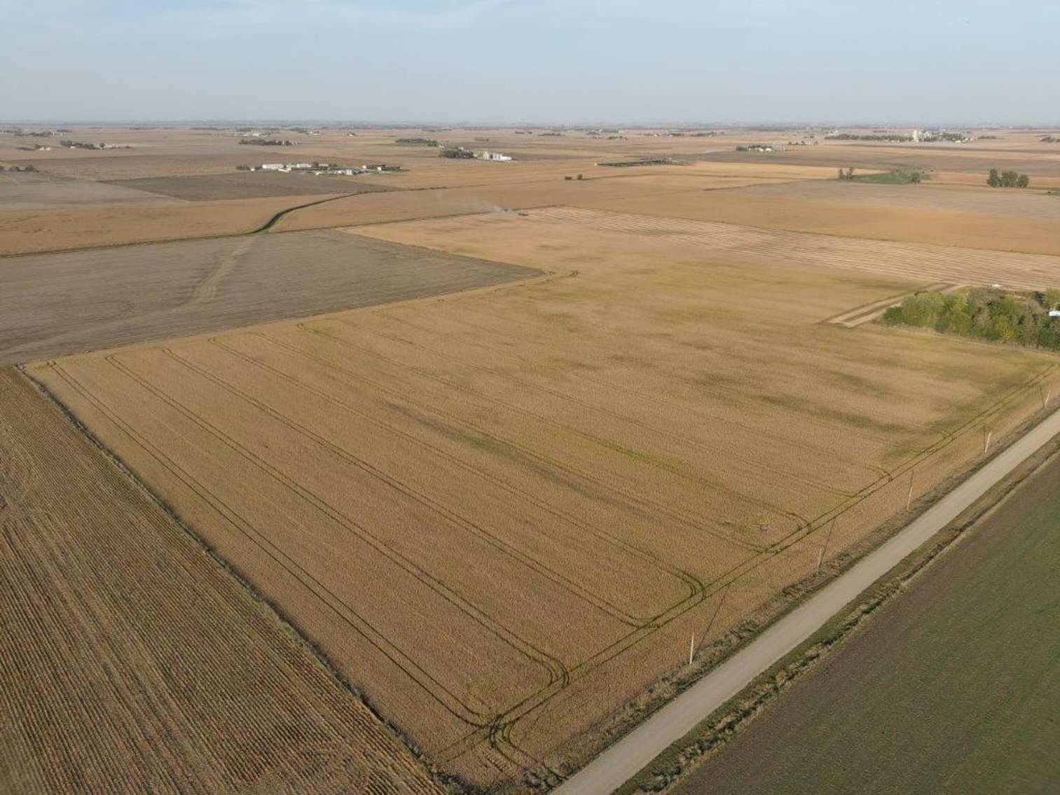 Image for Carroll County Farmland Auction!