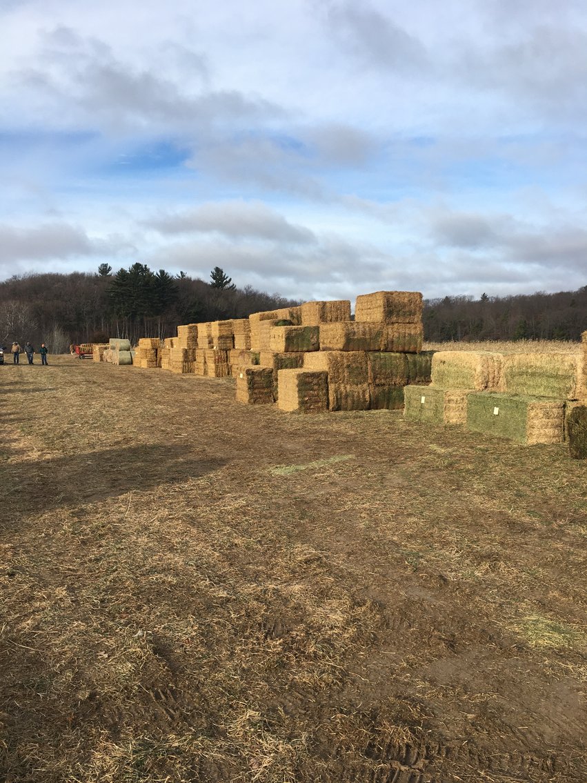 Image for LATE JANUARY HAY AND FIREWOOD AUCTION