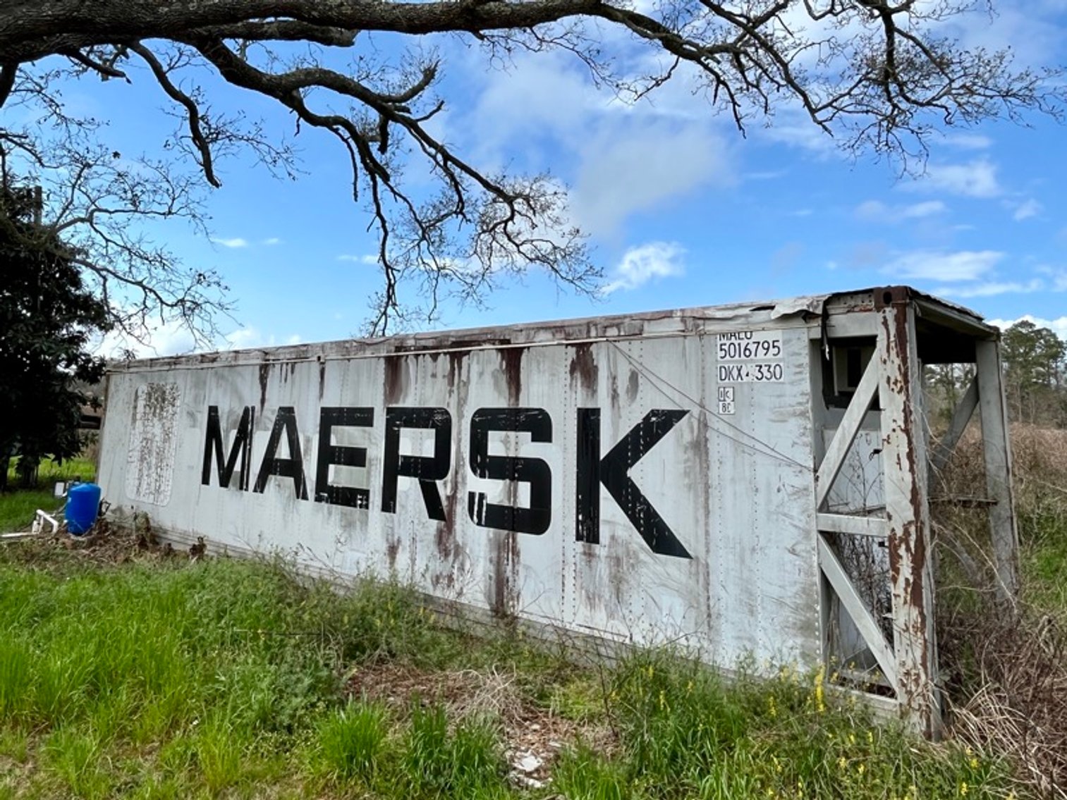 Image for Beulah Blueberry U-Pick Retirement Auction