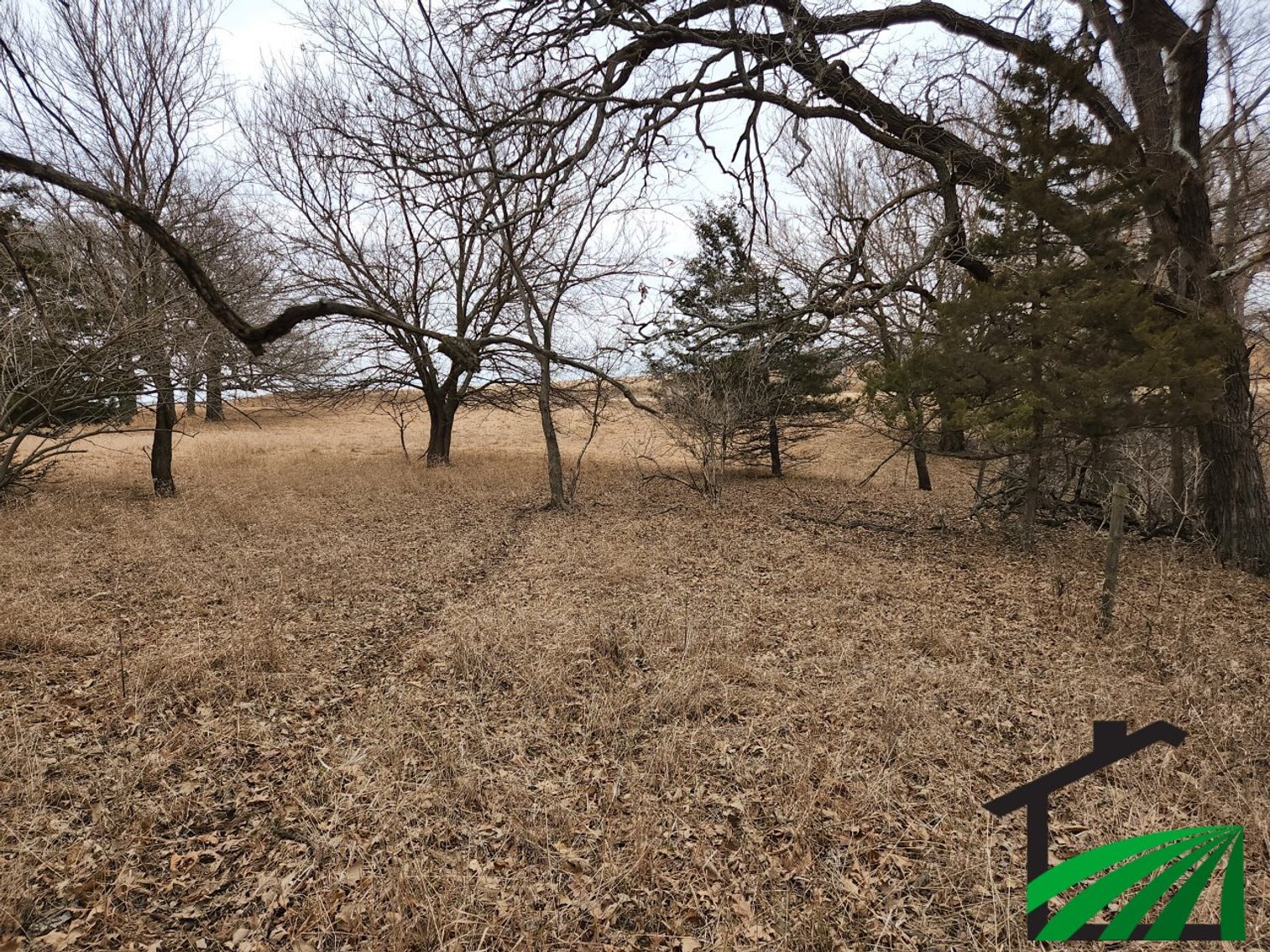 Image for Sac County Recreational Property Auction!