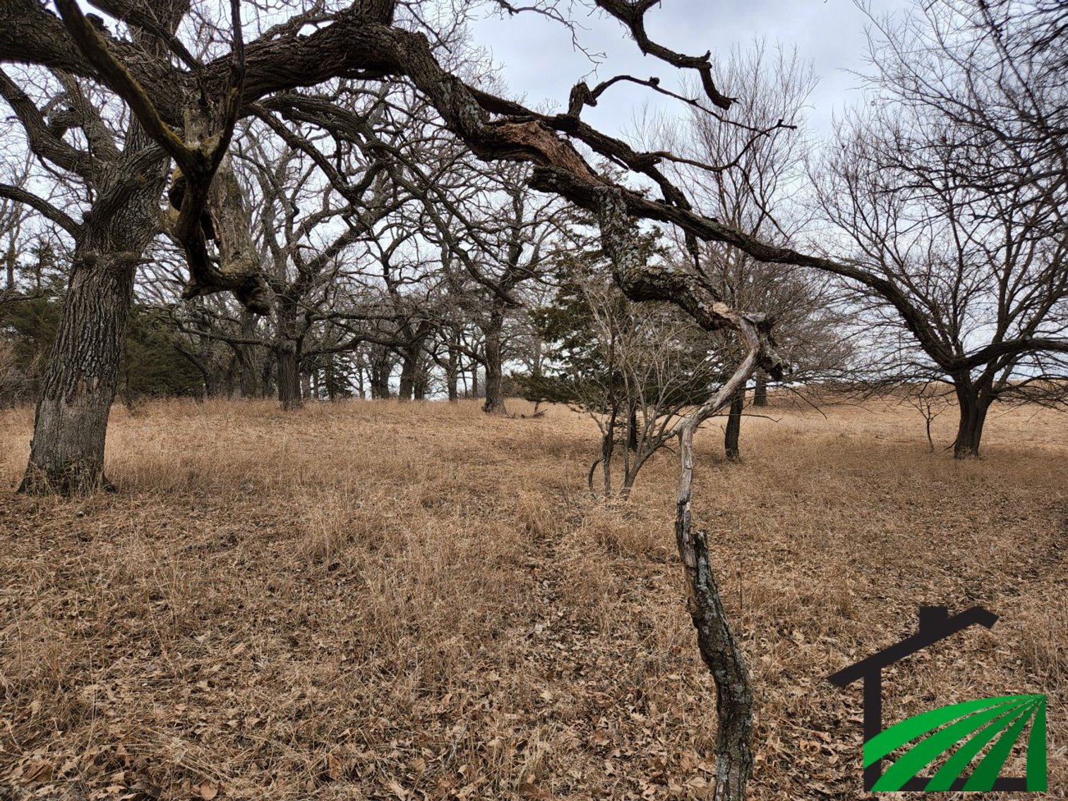 Image for Sac County Recreational Property Auction!