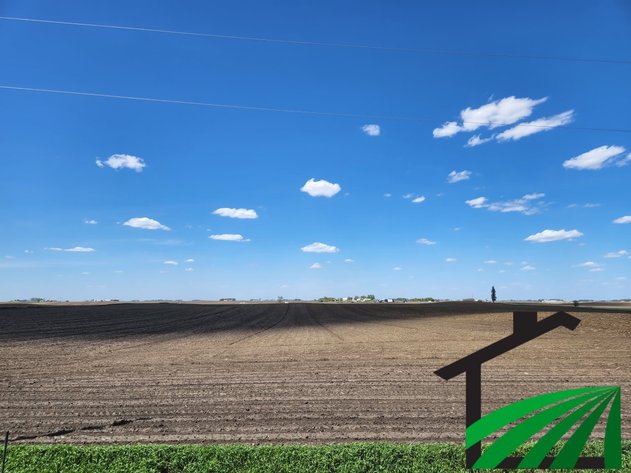 Image for Calhoun County Land Auction!