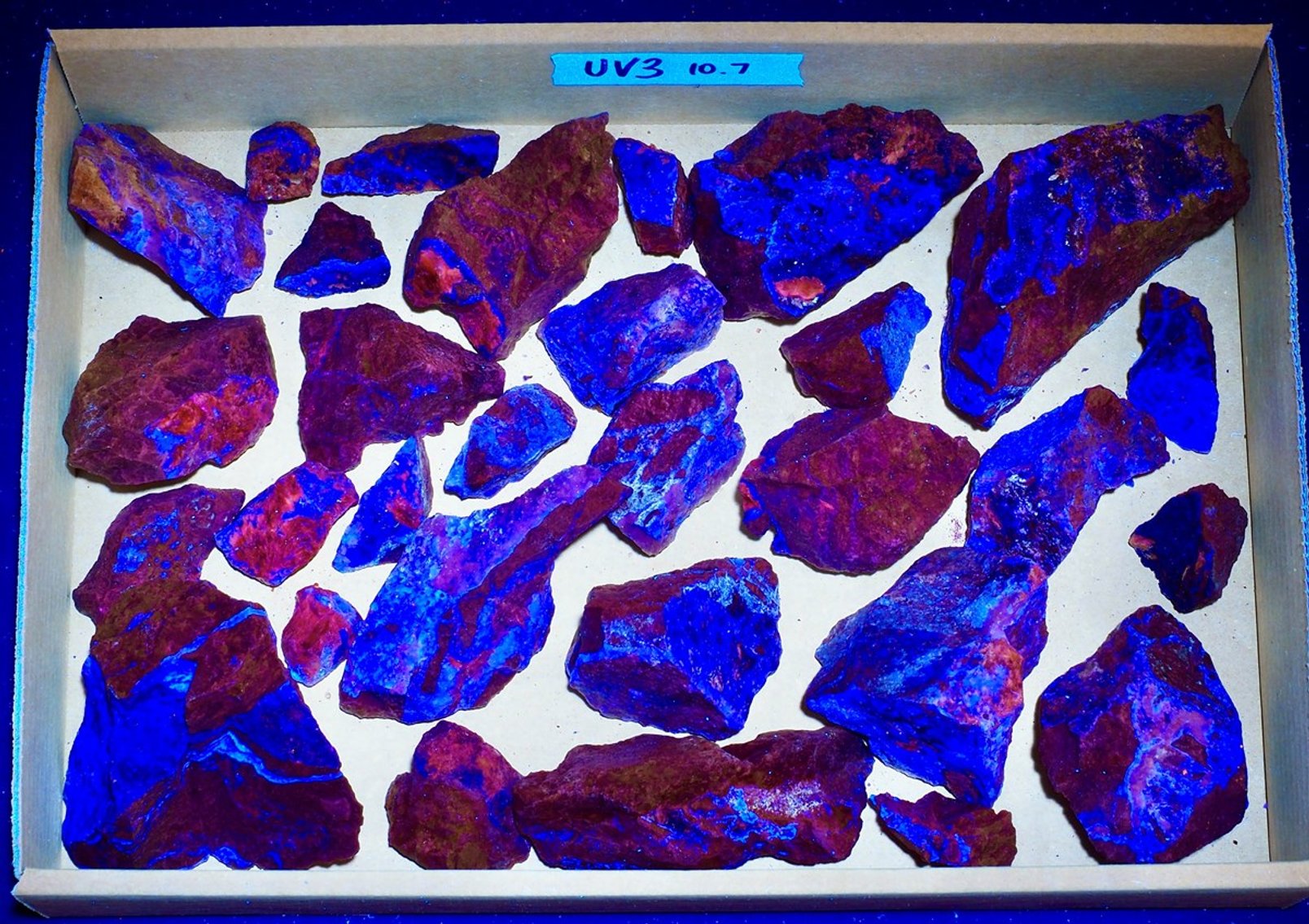 Image for Fossils, Museum Specimens, Minerals, Crystals & More
