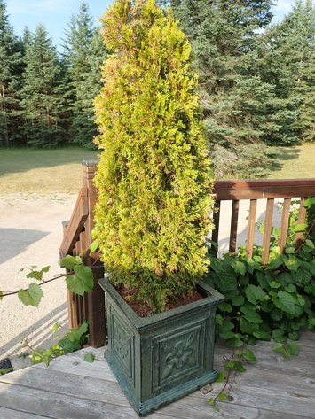 Image for Max & Bonnie Schotsch Relocating Sale - Ospringe