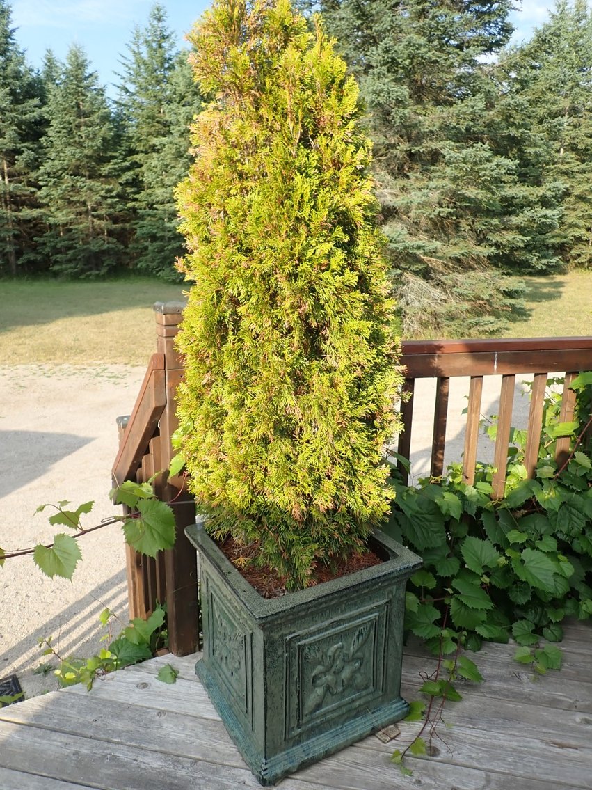 Image for Max & Bonnie Schotsch Relocating Sale - Ospringe