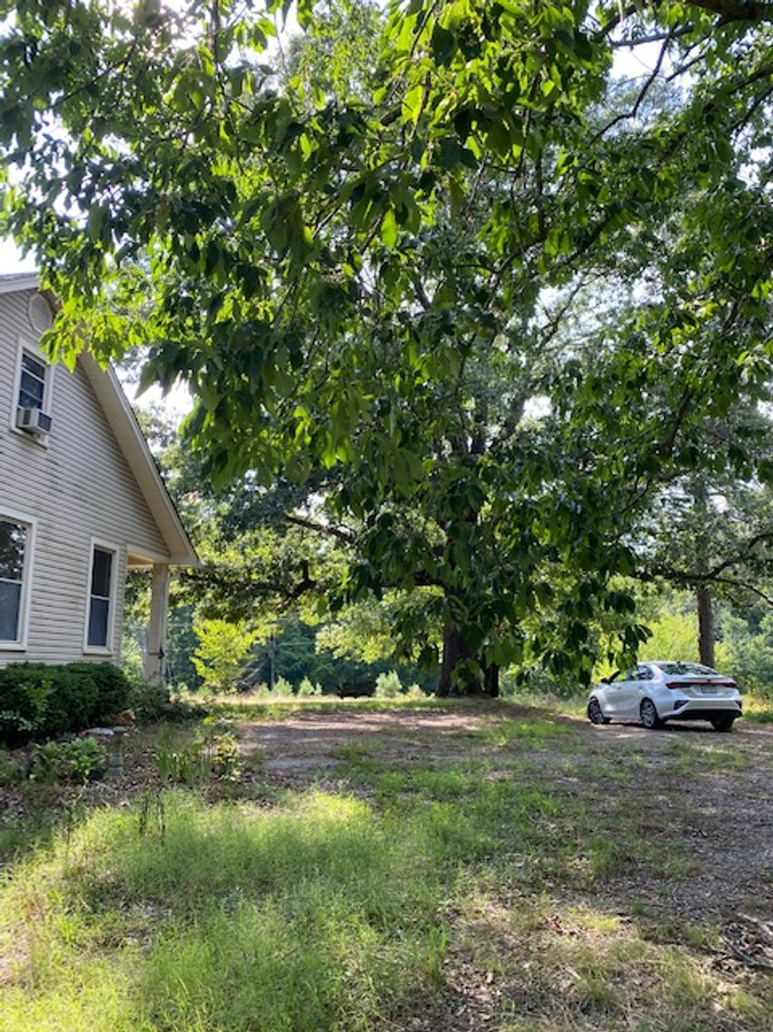 Image for William Carrel Hays Estate (deceased)