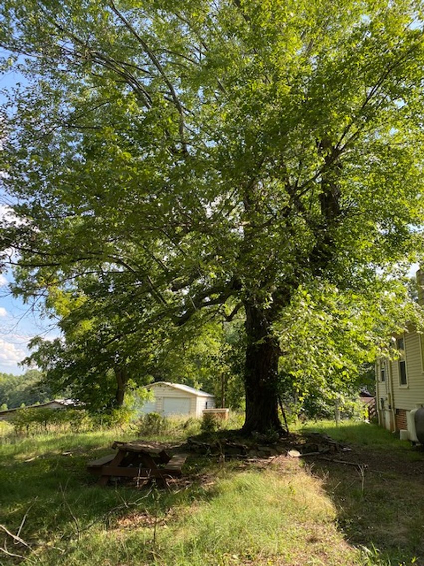 Image for William Carrel Hays Estate (deceased)