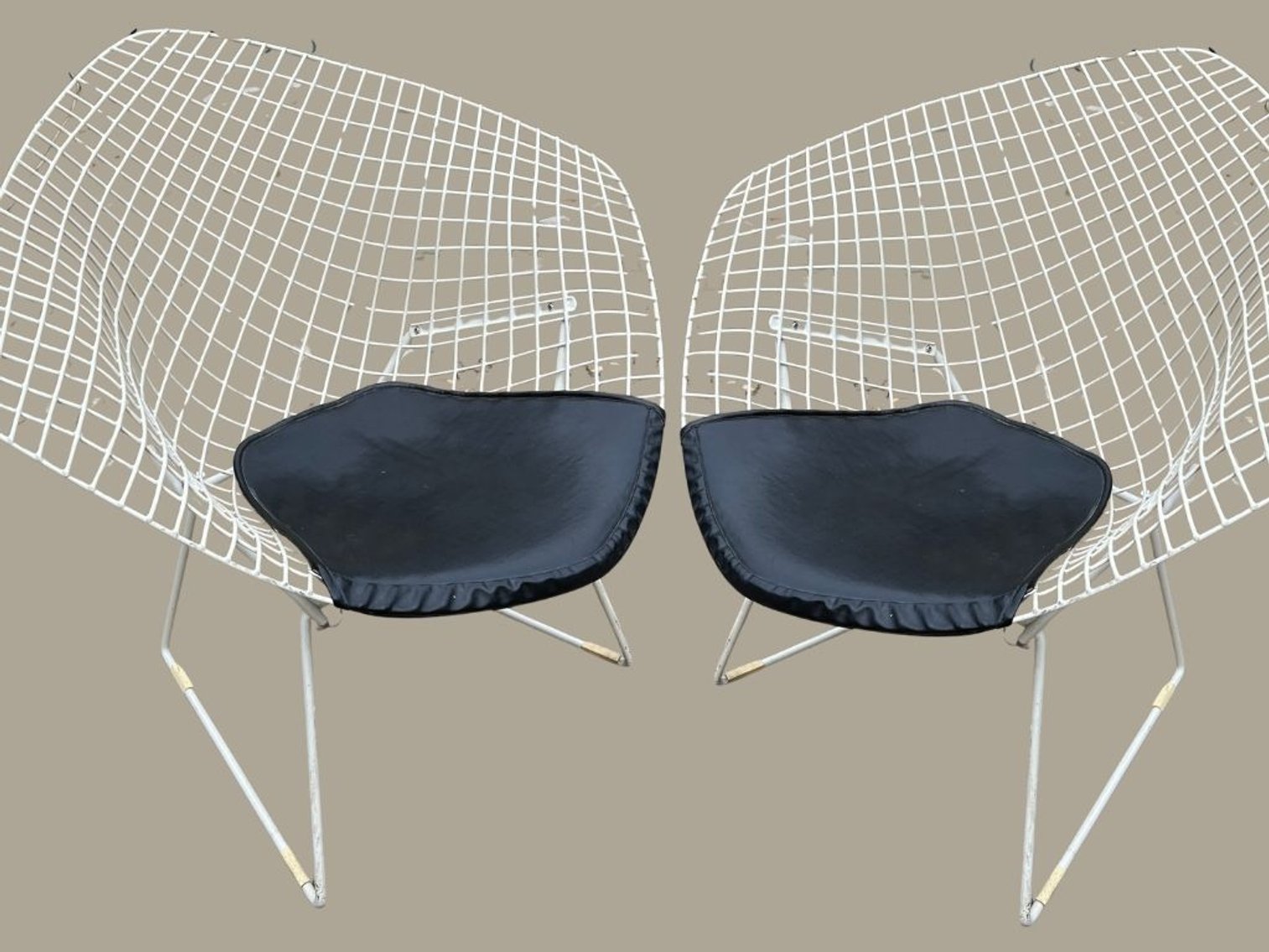 Image for SNAP SHOT