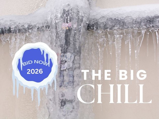 Image for THE BIG CHILL