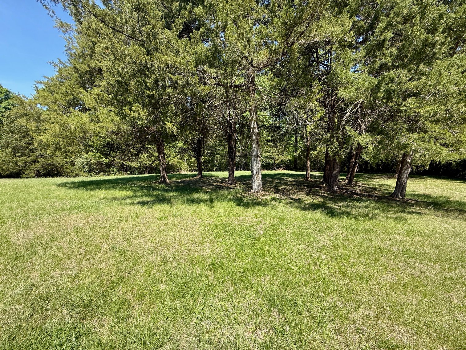 Image for 4 BR/6 BA Home w/Horse Barn, Fencing, Detached Work Shop, Garage & Storage Buildings on 30.8 +/- Acres in Halifax County, VA--SELLING to the HIGHEST BIDDER!!