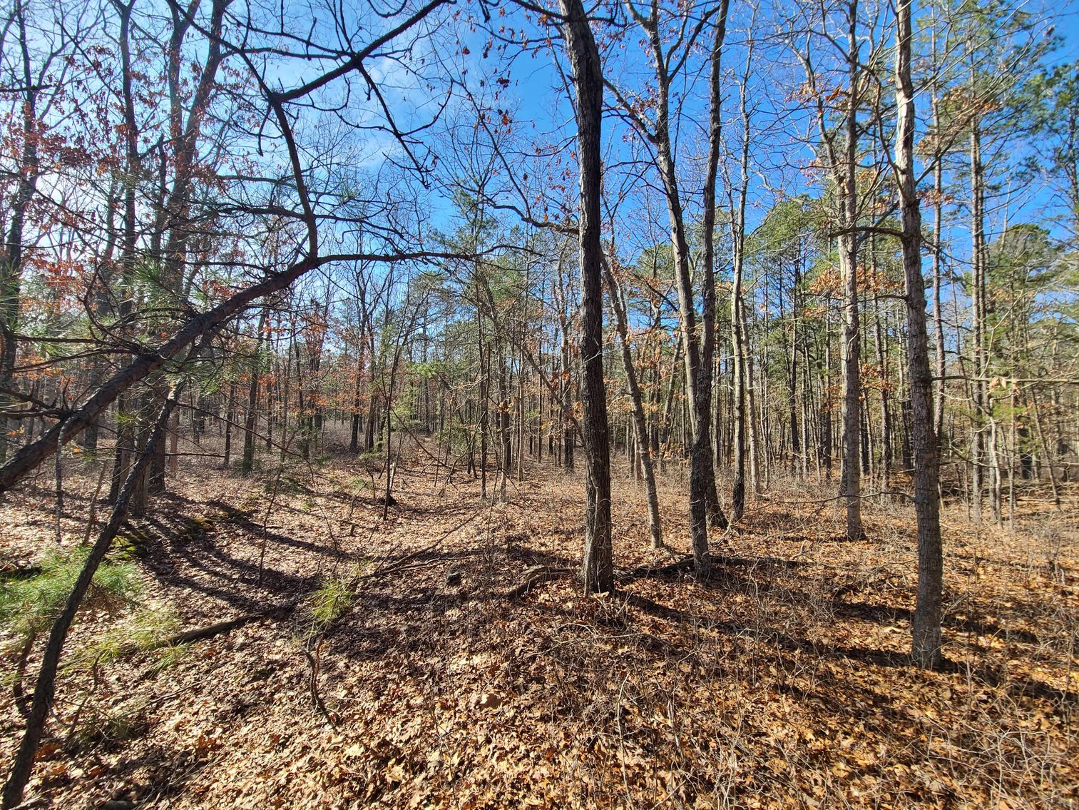 Image for 310 +/- Acres in Egg Harbor Township - Perfect Recreational Getaway
