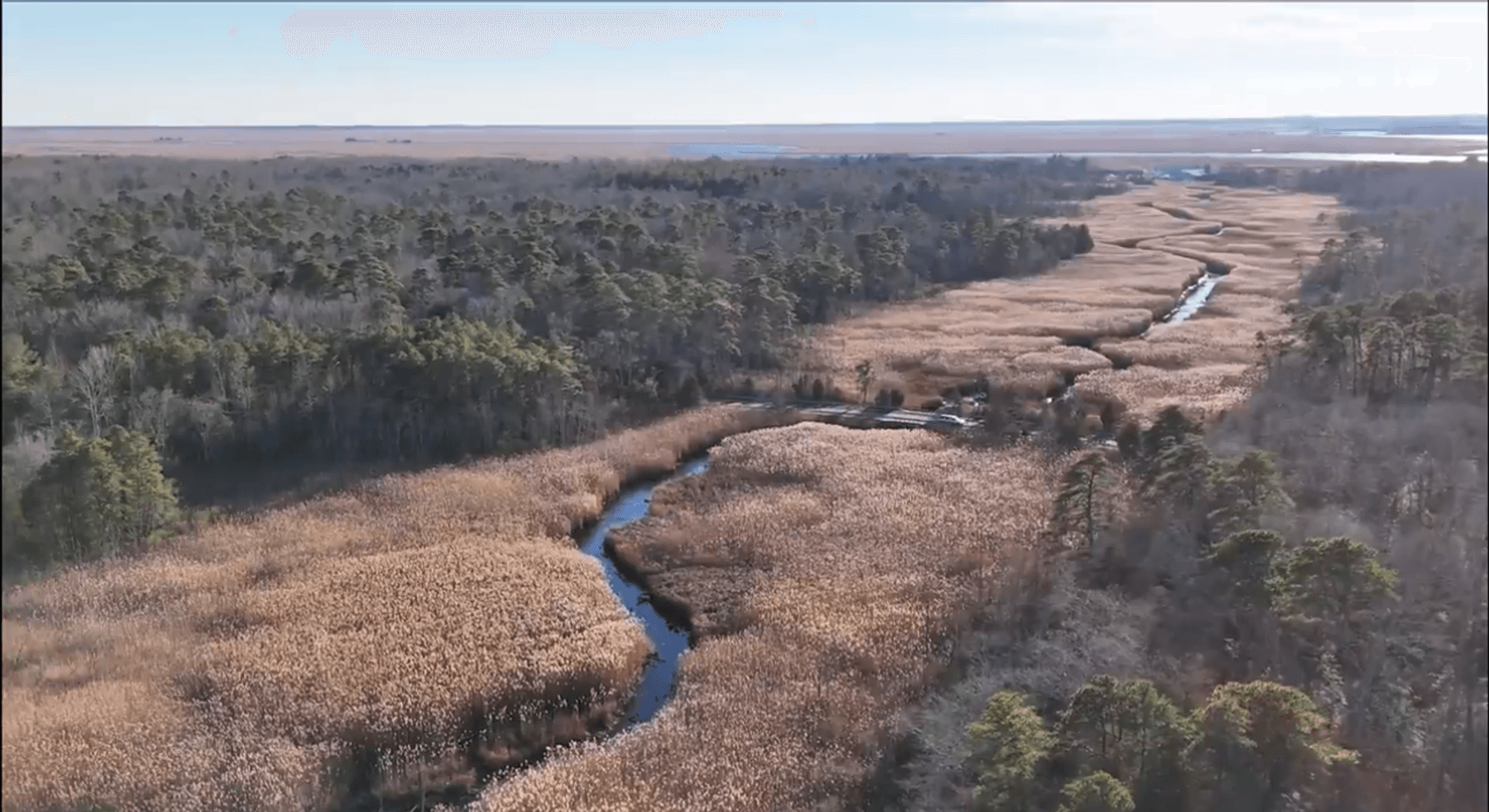 Image for 310 +/- Acres in Egg Harbor Township - Perfect Recreational Getaway