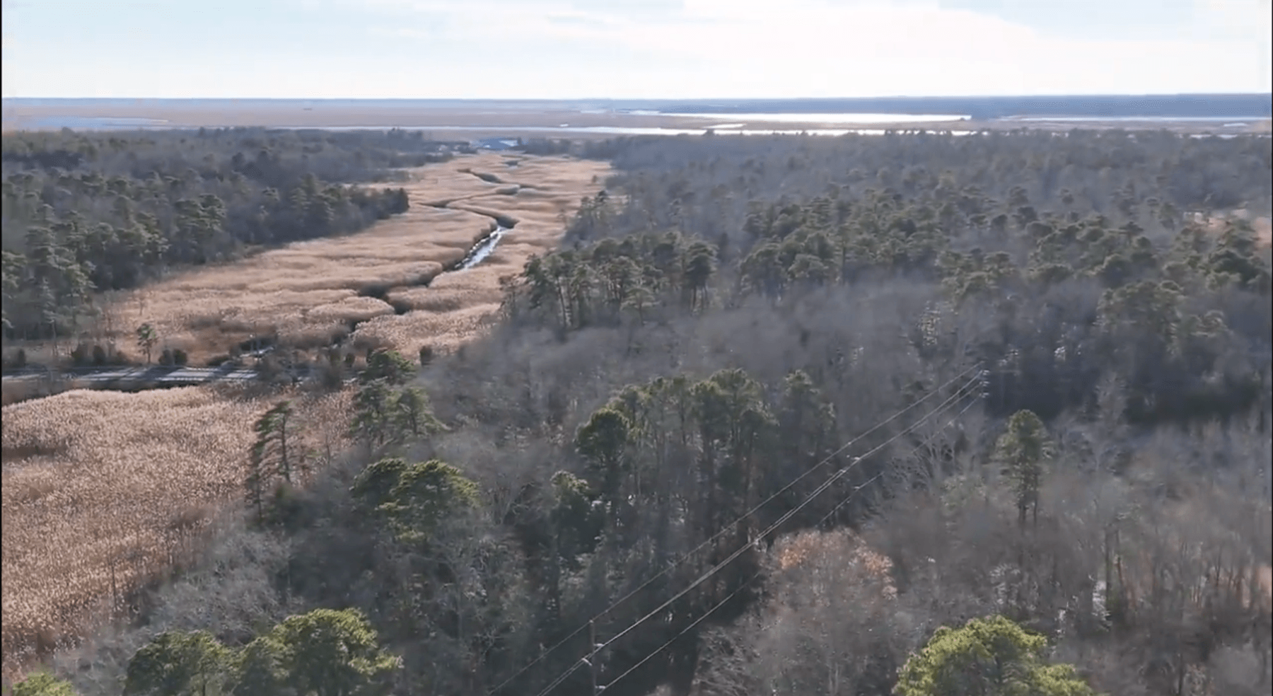 Image for 310 +/- Acres in Egg Harbor Township - Perfect Recreational Getaway