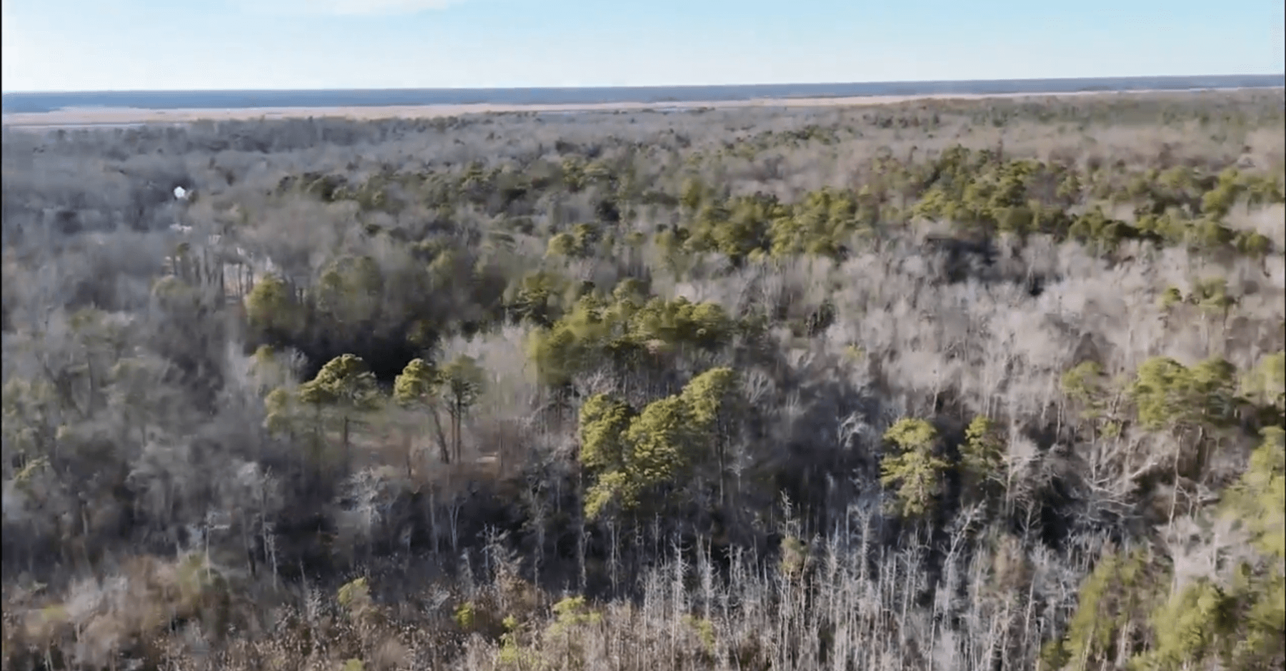 Image for 310 +/- Acres in Egg Harbor Township - Perfect Recreational Getaway