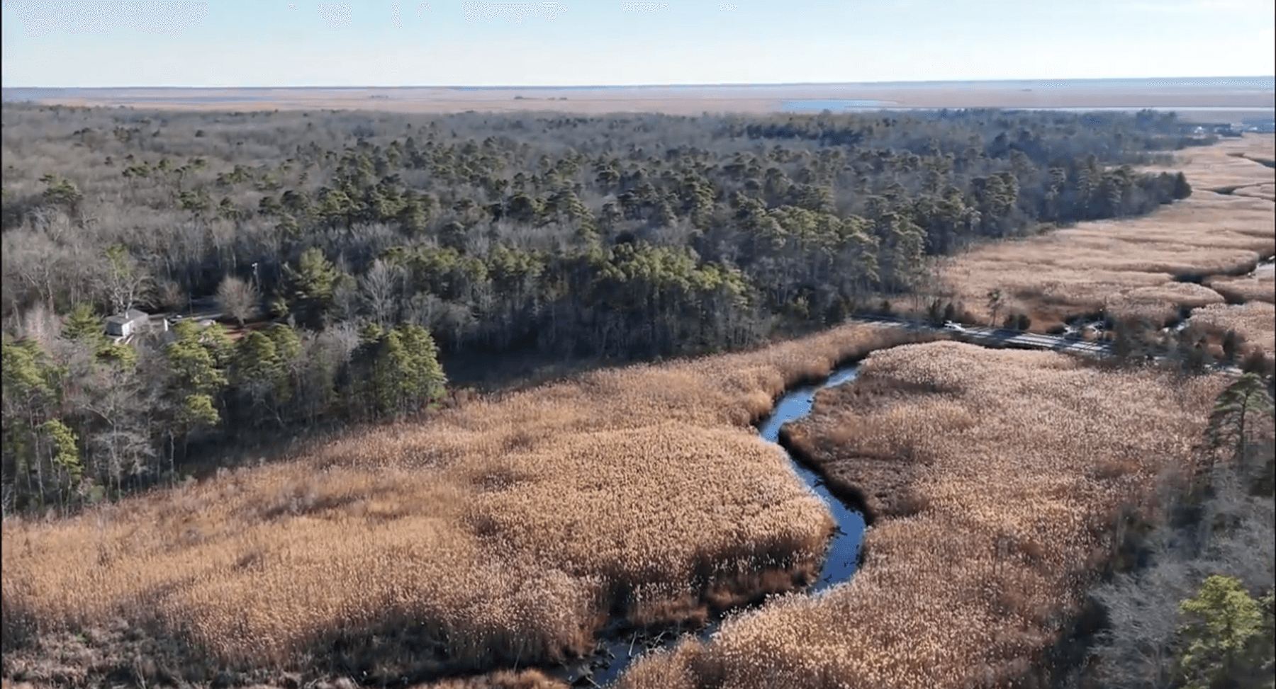 Image for 310 +/- Acres in Egg Harbor Township - Perfect Recreational Getaway