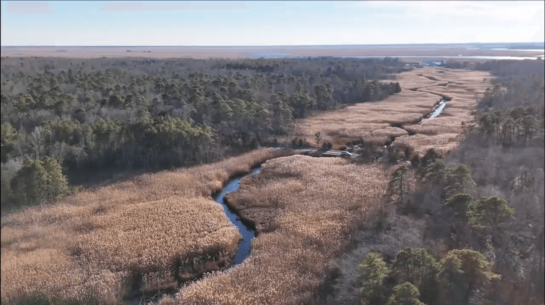 Image for 310 +/- Acres in Egg Harbor Township - Perfect Recreational Getaway