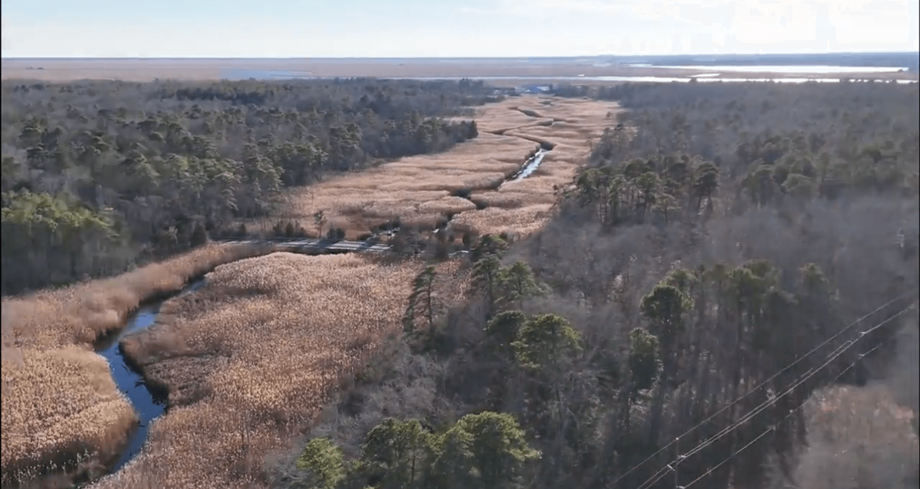 Image for 310 +/- Acres in Egg Harbor Township - Perfect Recreational Getaway