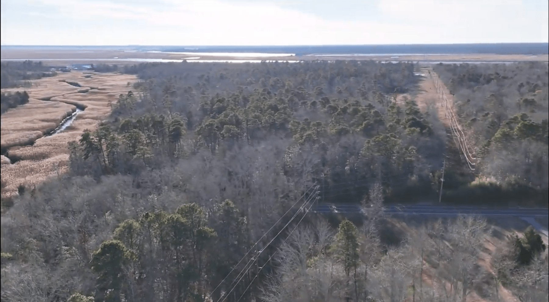 Image for 310 +/- Acres in Egg Harbor Township - Perfect Recreational Getaway