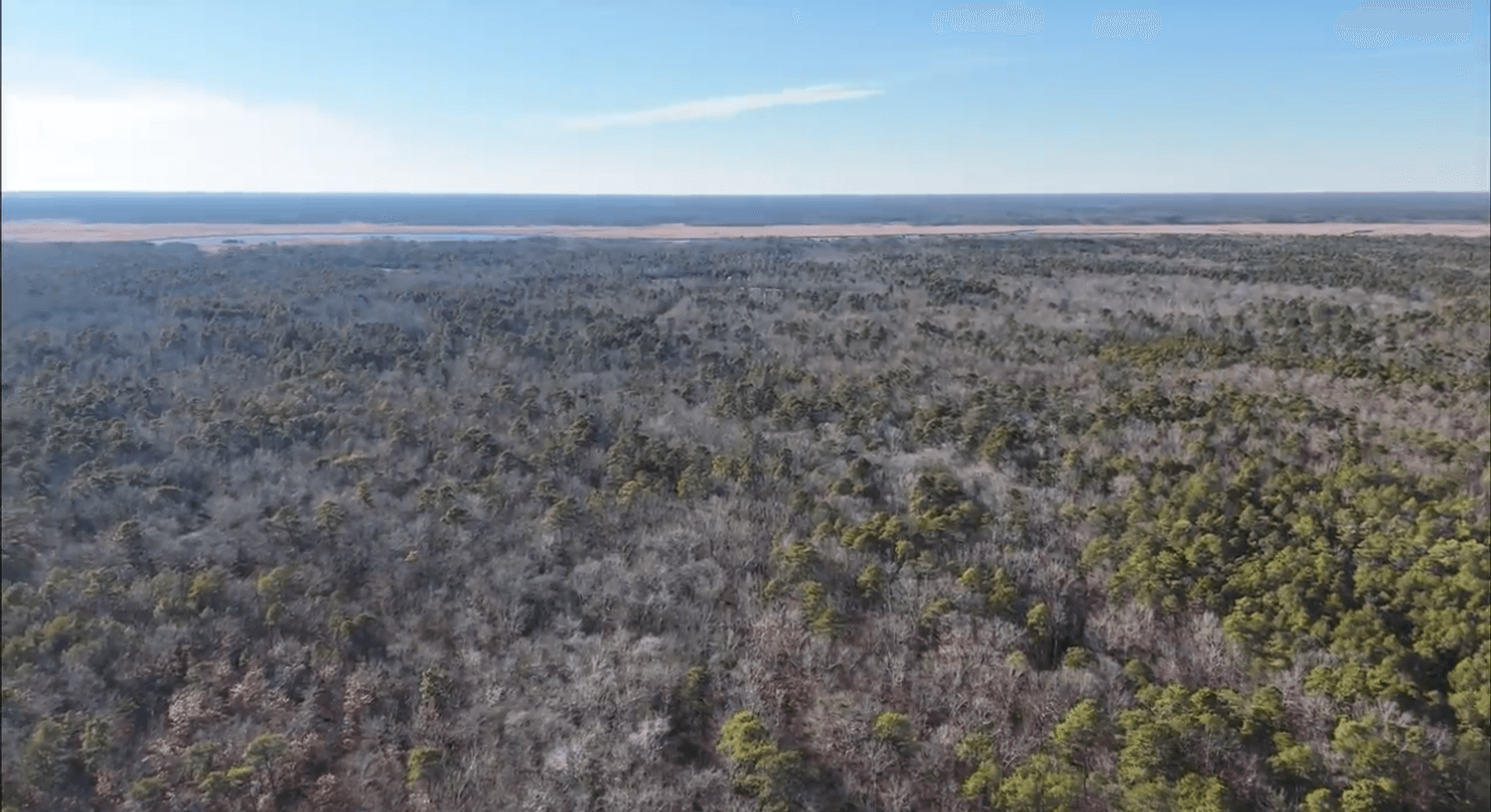 Image for 310 +/- Acres in Egg Harbor Township - Perfect Recreational Getaway