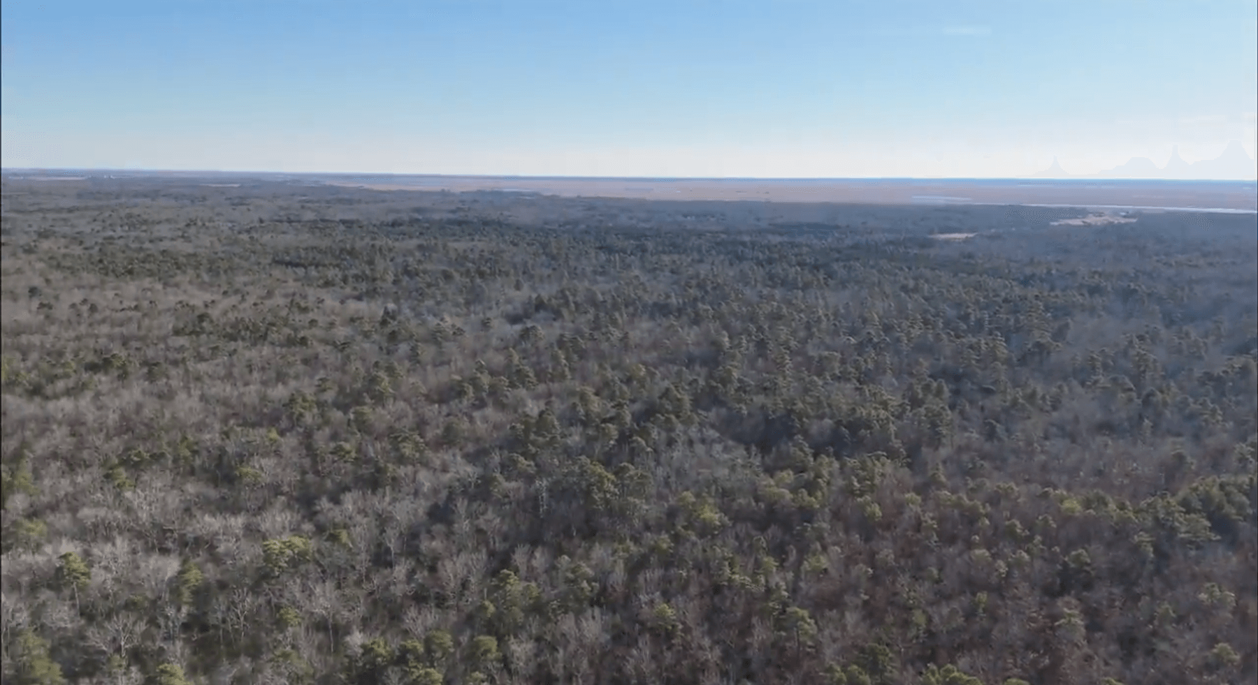 Image for 310 +/- Acres in Egg Harbor Township - Perfect Recreational Getaway