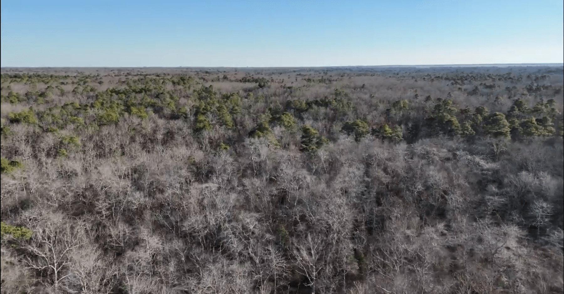 Image for 310 +/- Acres in Egg Harbor Township - Perfect Recreational Getaway