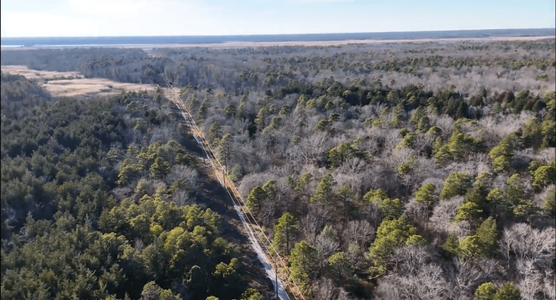 Image for 310 +/- Acres in Egg Harbor Township - Perfect Recreational Getaway