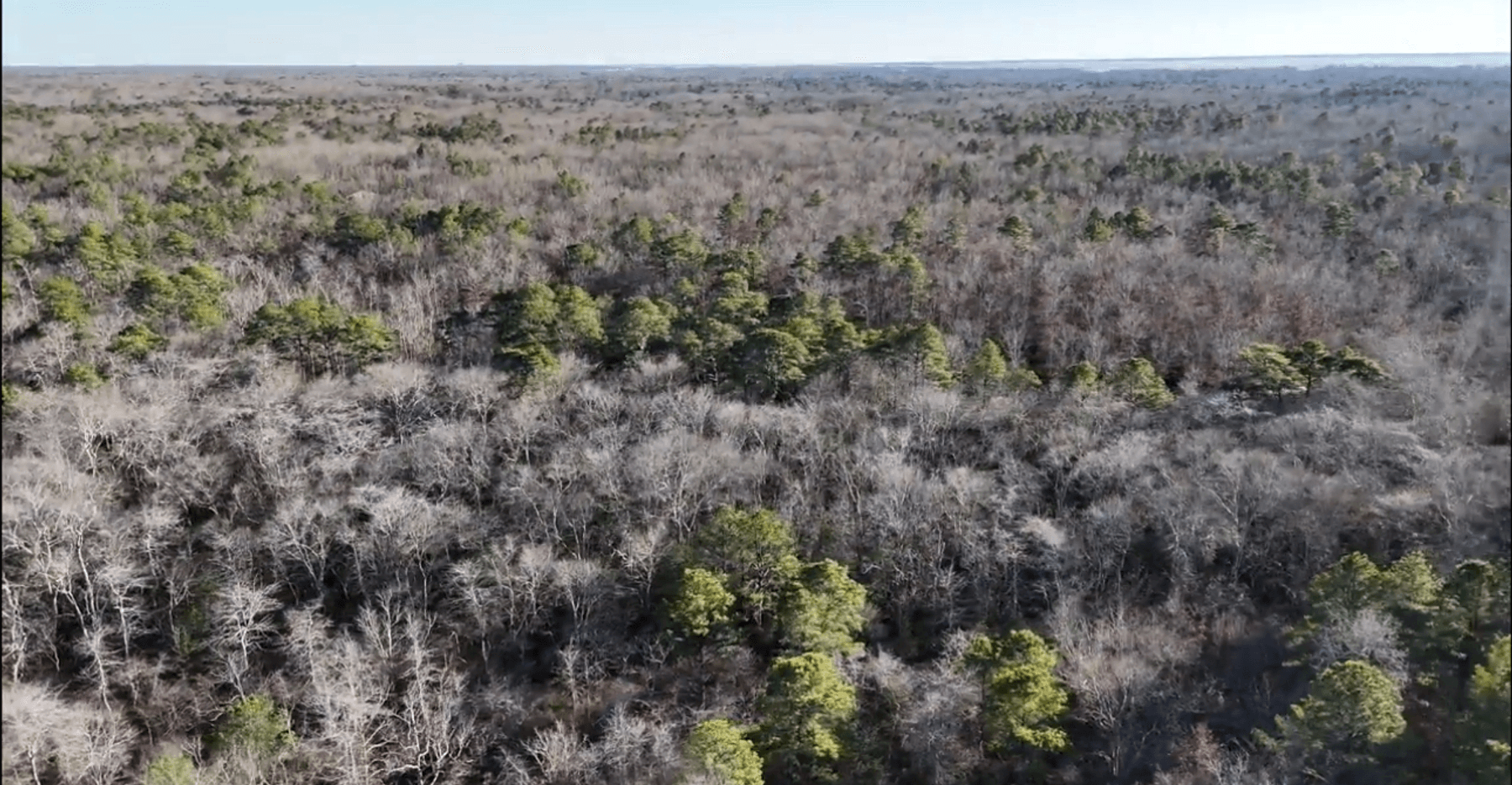 Image for 310 +/- Acres in Egg Harbor Township - Perfect Recreational Getaway