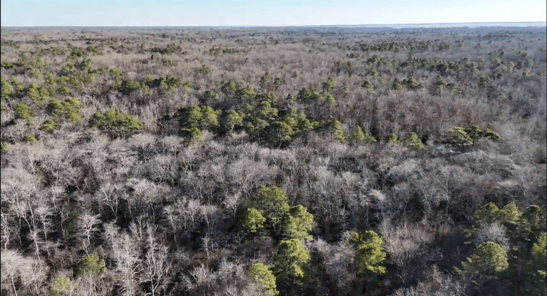 Image for 310 +/- Acres in Egg Harbor Township - Perfect Recreational Getaway