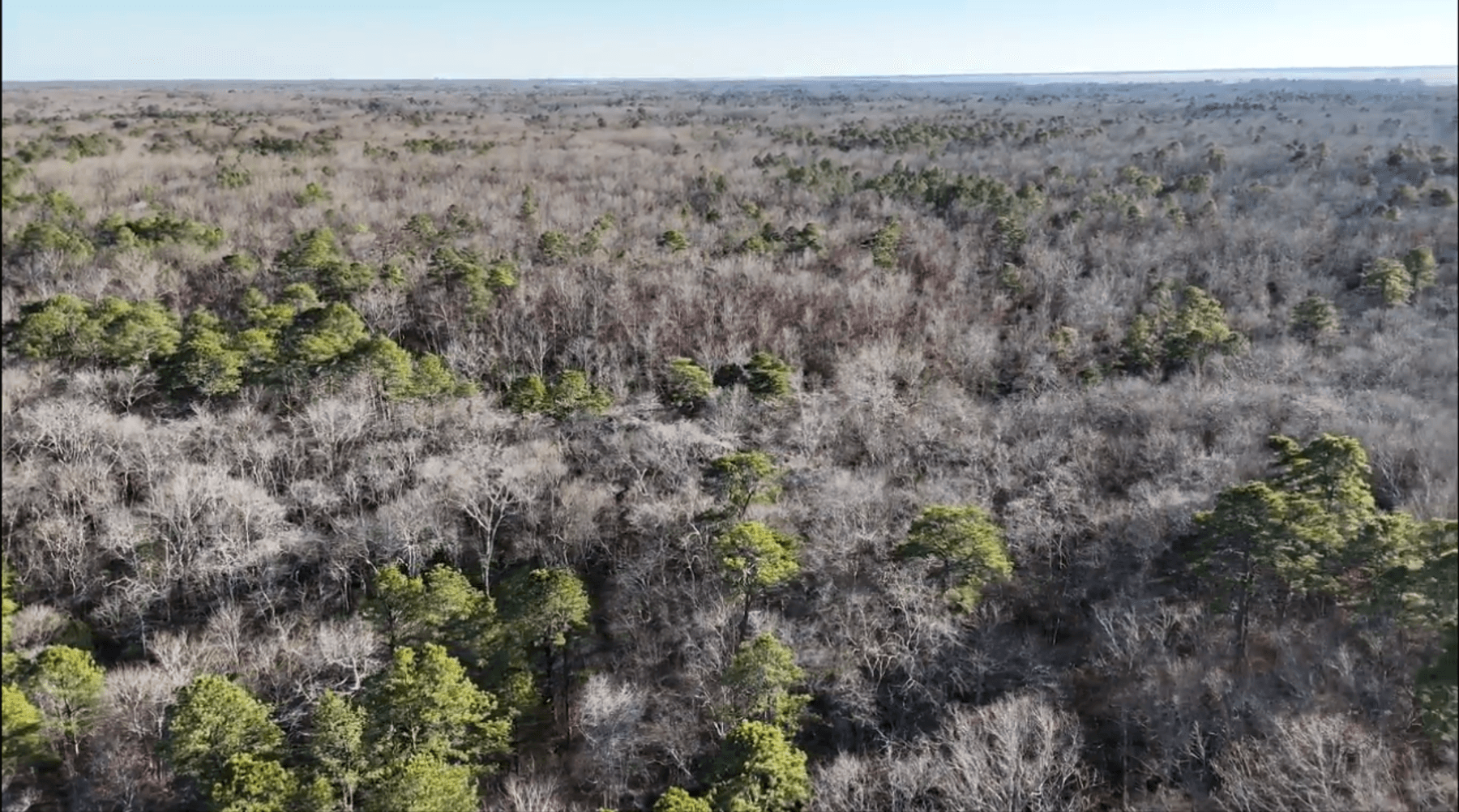 Image for 310 +/- Acres in Egg Harbor Township - Perfect Recreational Getaway