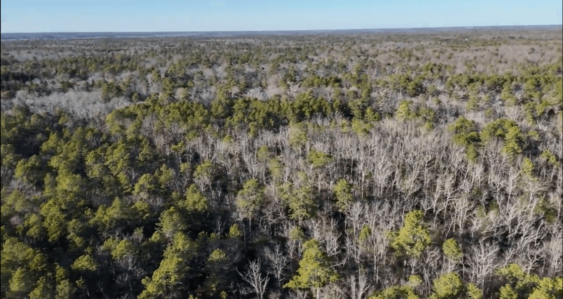 Image for 310 +/- Acres in Egg Harbor Township - Perfect Recreational Getaway