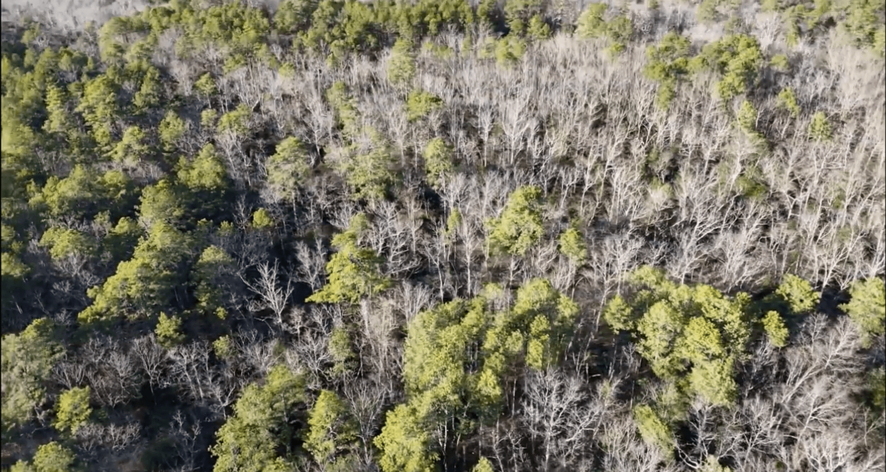 Image for 310 +/- Acres in Egg Harbor Township - Perfect Recreational Getaway