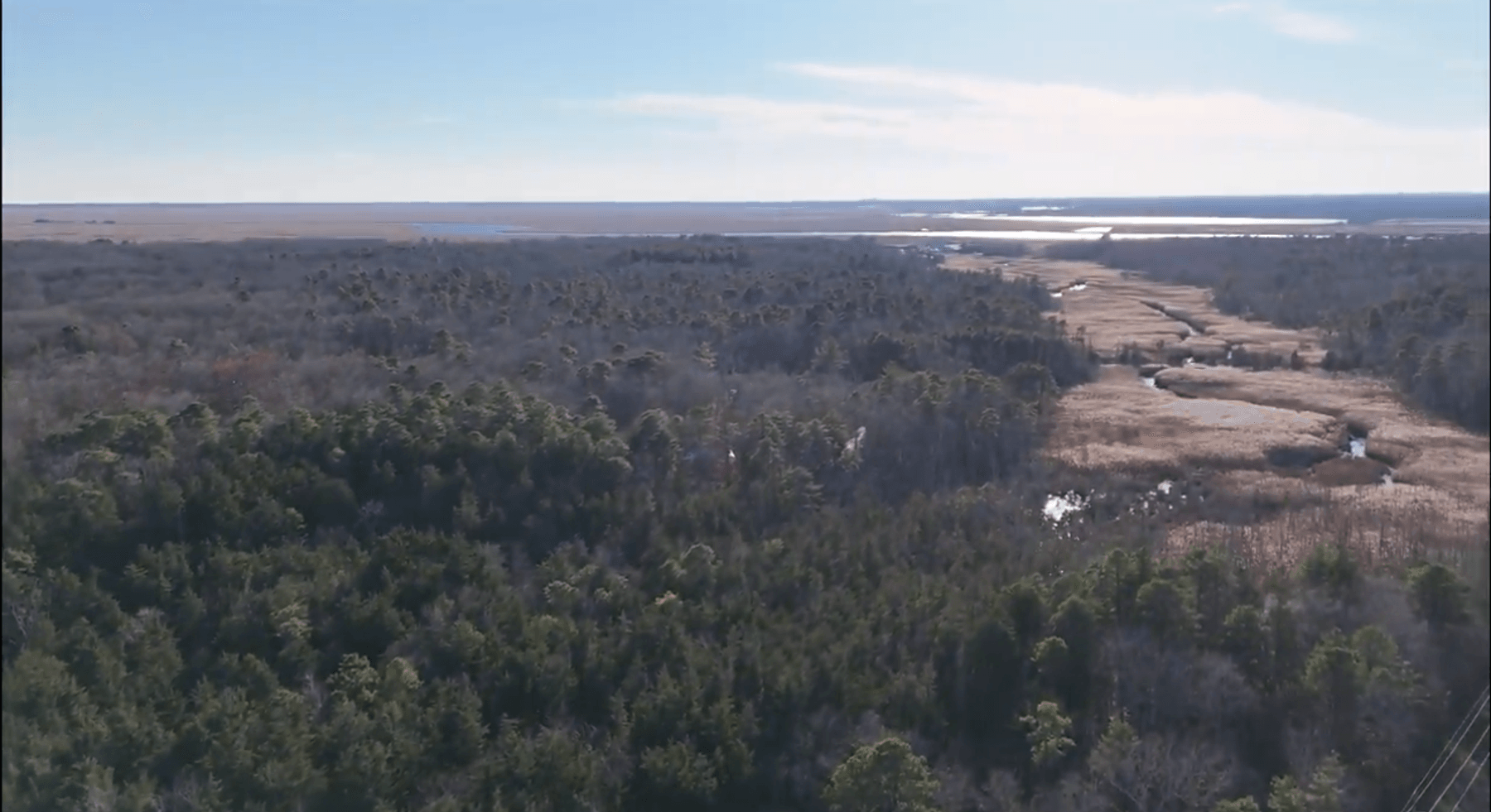 Image for 310 +/- Acres in Egg Harbor Township - Perfect Recreational Getaway