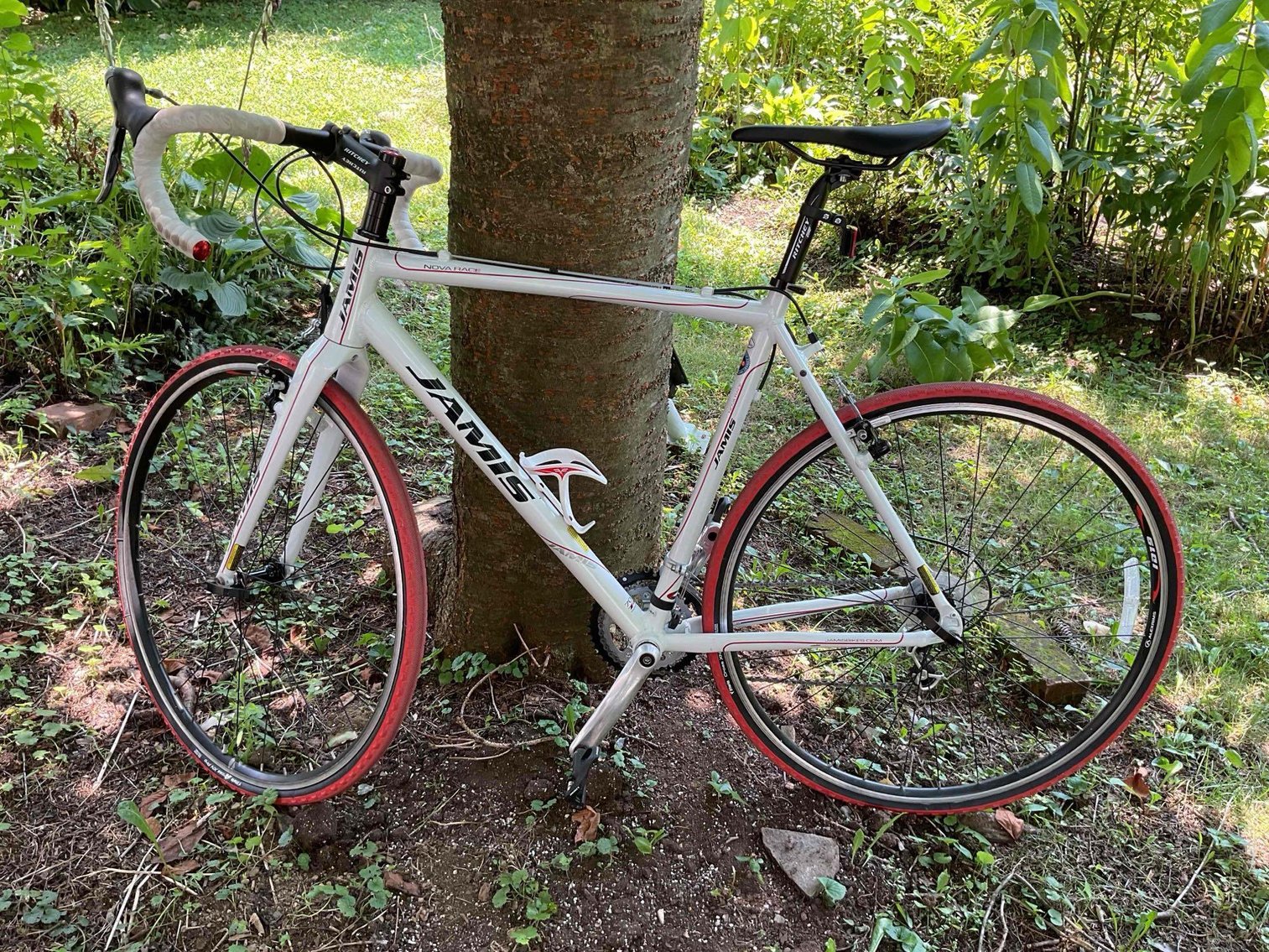 Image for Estate Sale | Allentown, PA | August 5, 2024 at 8:00 PM