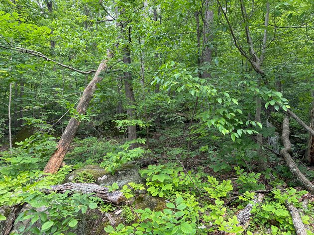 Image for Sold! Vacant Lot For Auction | 2751 Swamp Creek Road, Pennsburg, PA 18073 | July 8, 2025 at 4:00 PM